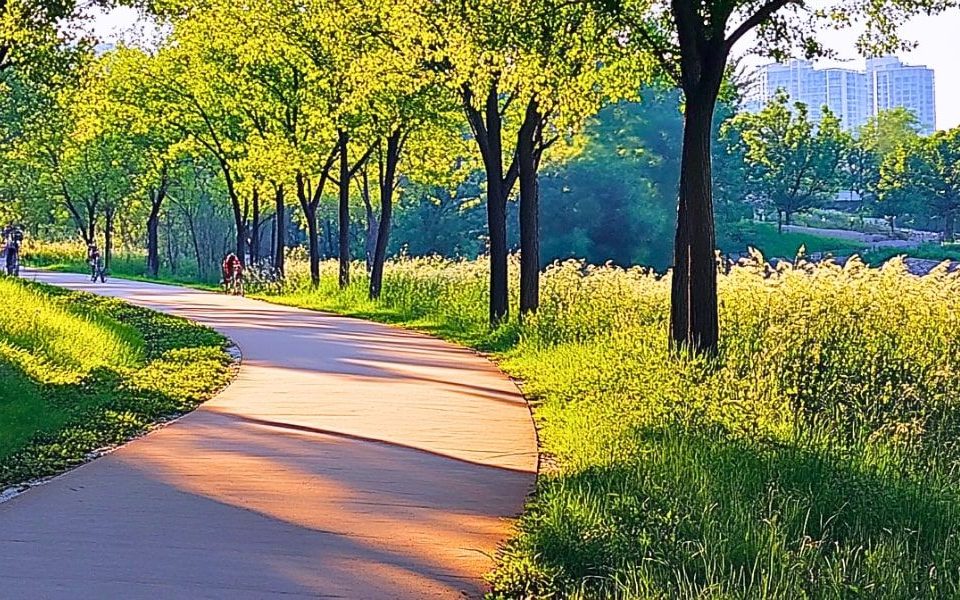 Austin Urban Trails