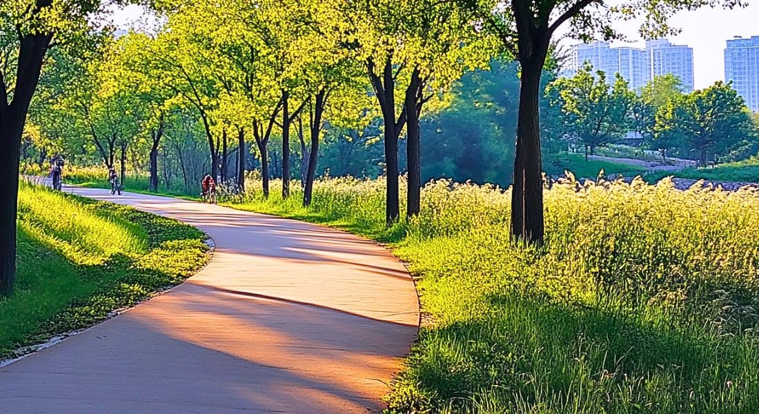 Austin Urban Trails